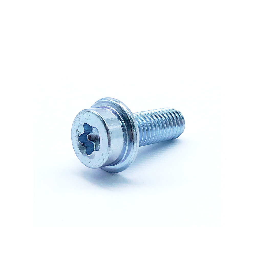 Torx Flange Head Bolt